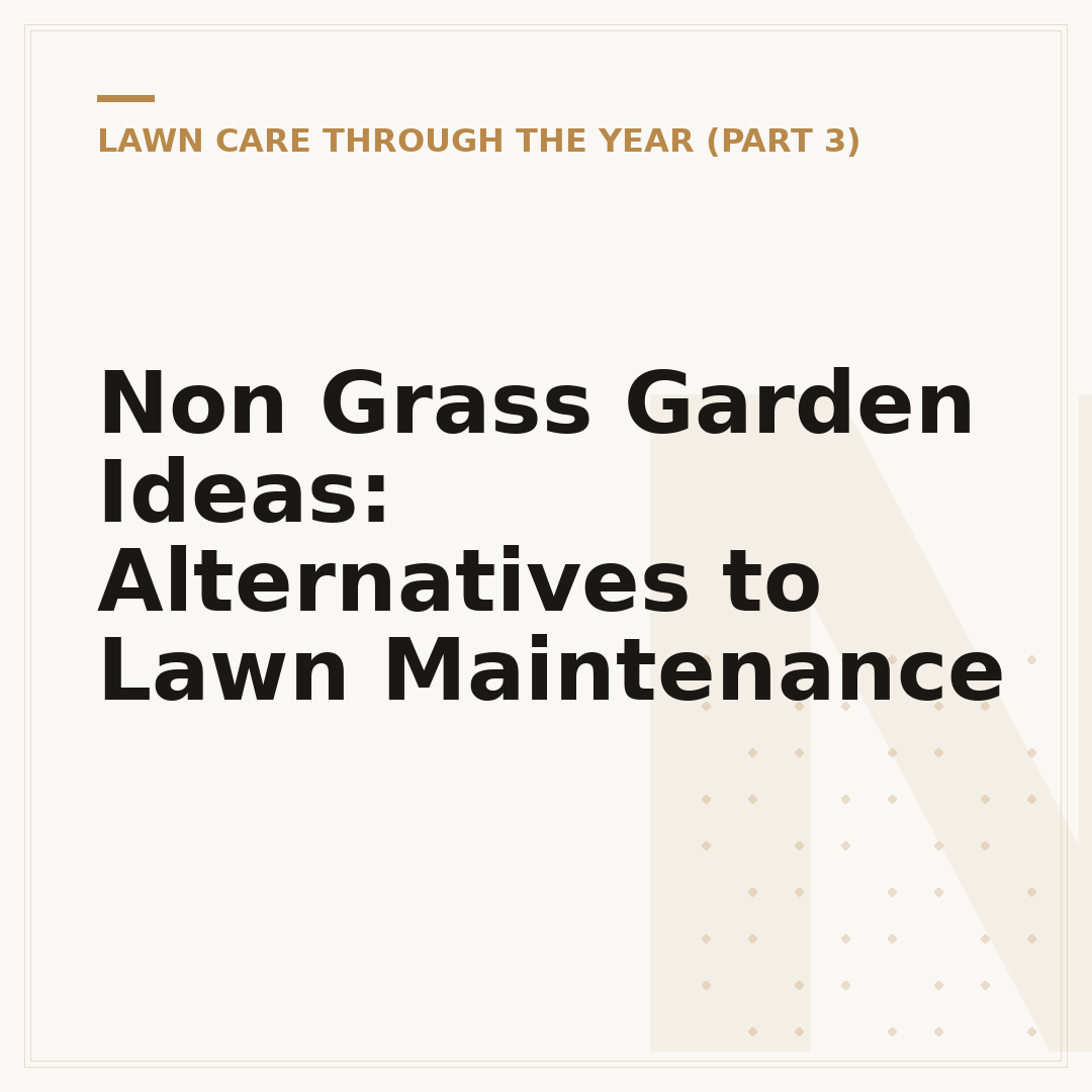 Non Grass Garden Ideas: Alternatives to Lawn Maintenance