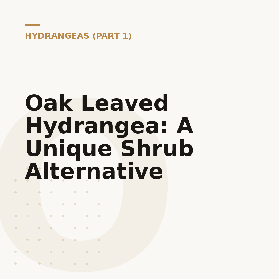 Oak Leaved Hydrangea: A Unique Shrub Alternative