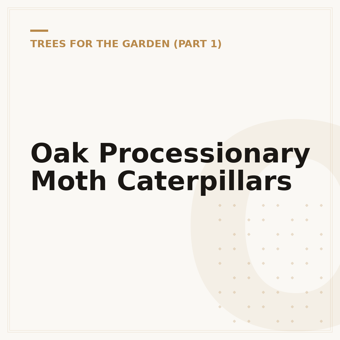 Oak Processionary Moth Caterpillars
