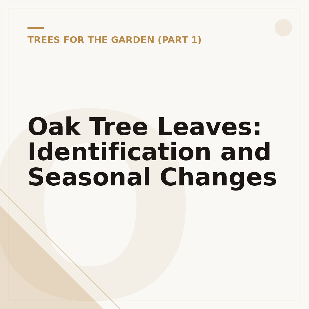 Oak Tree Leaves: Identification and Seasonal Changes
