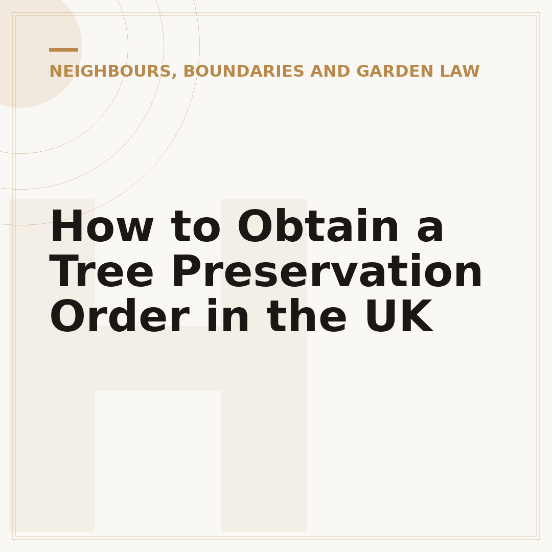 How to Obtain a Tree Preservation Order in the UK