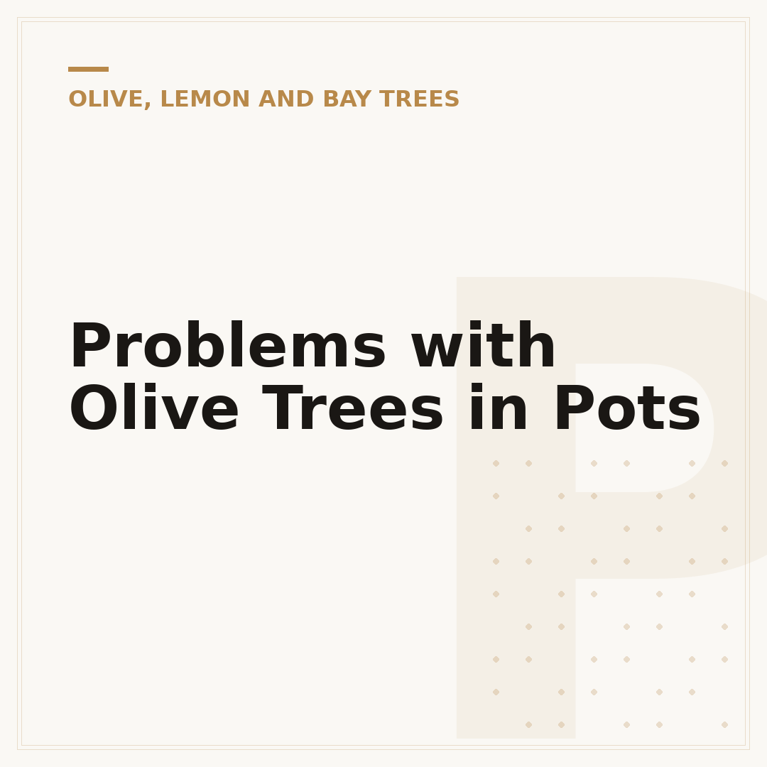Problems with Olive Trees in Pots