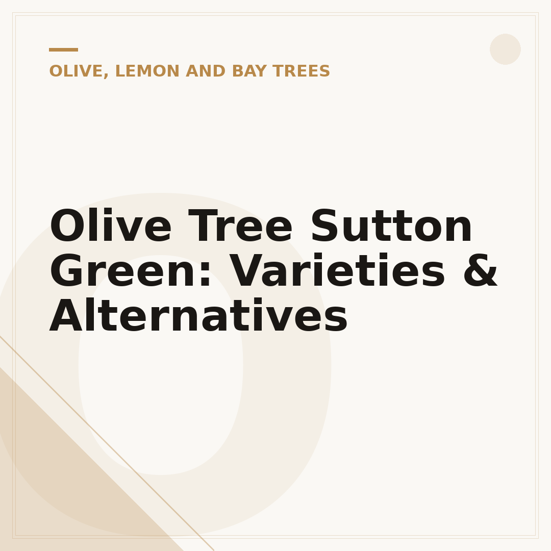 Olive Tree Sutton Green: Varieties & Alternatives