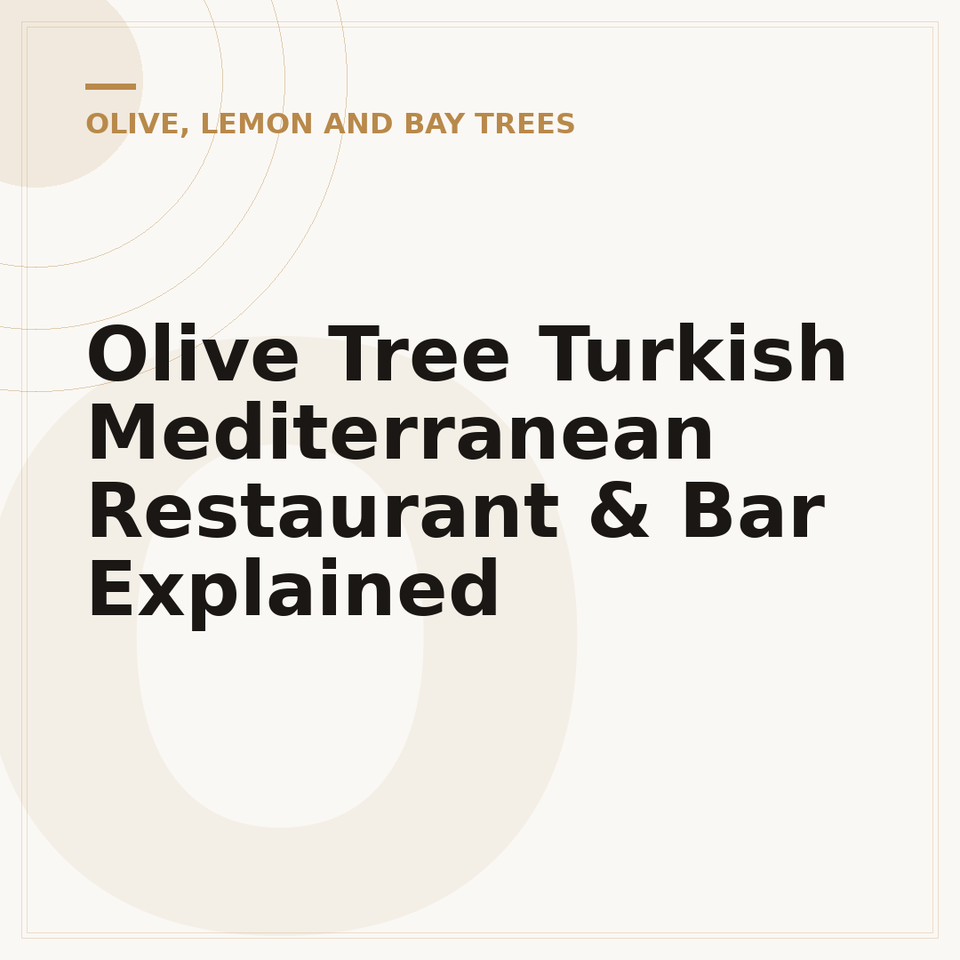 Olive Tree Turkish Mediterranean Restaurant & Bar Explained
