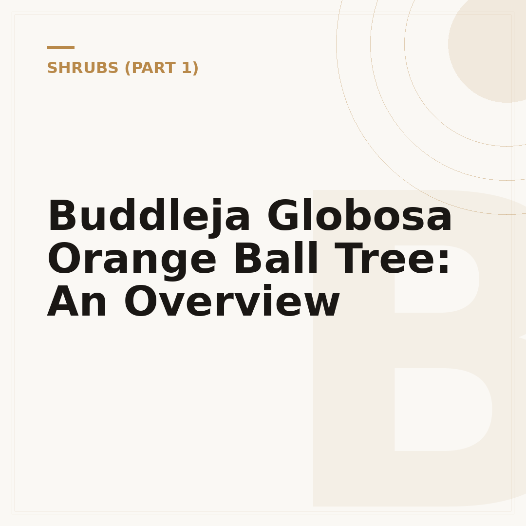 Buddleja Globosa Orange Ball Tree: An Overview