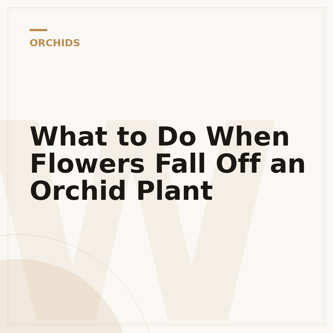 What to Do When Flowers Fall Off an Orchid Plant