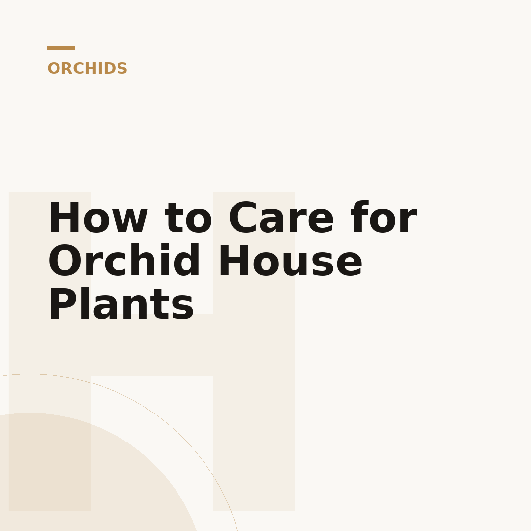 How to Care for Orchid House Plants