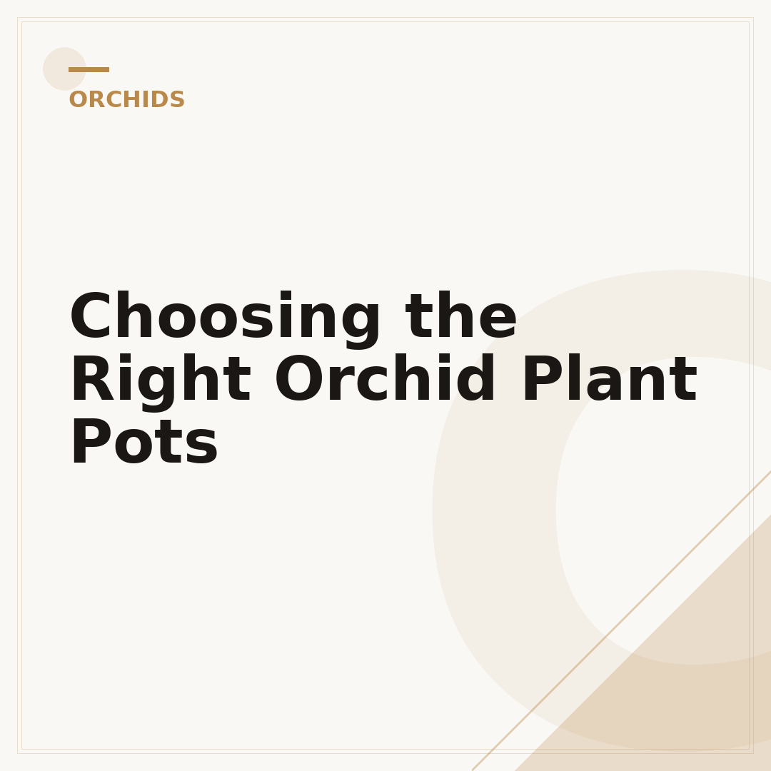 Choosing the Right Orchid Plant Pots