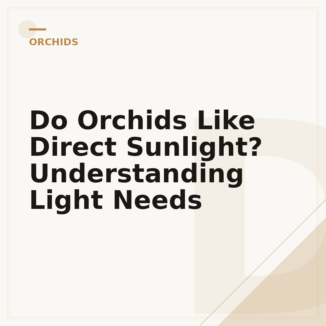 Do Orchids Like Direct Sunlight? Understanding Light Needs