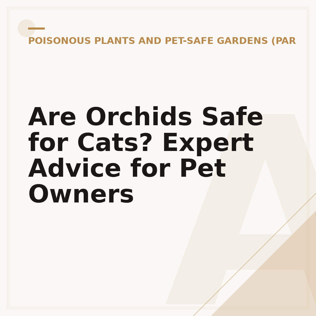 Are Orchids Safe for Cats? Expert Advice for Pet Owners