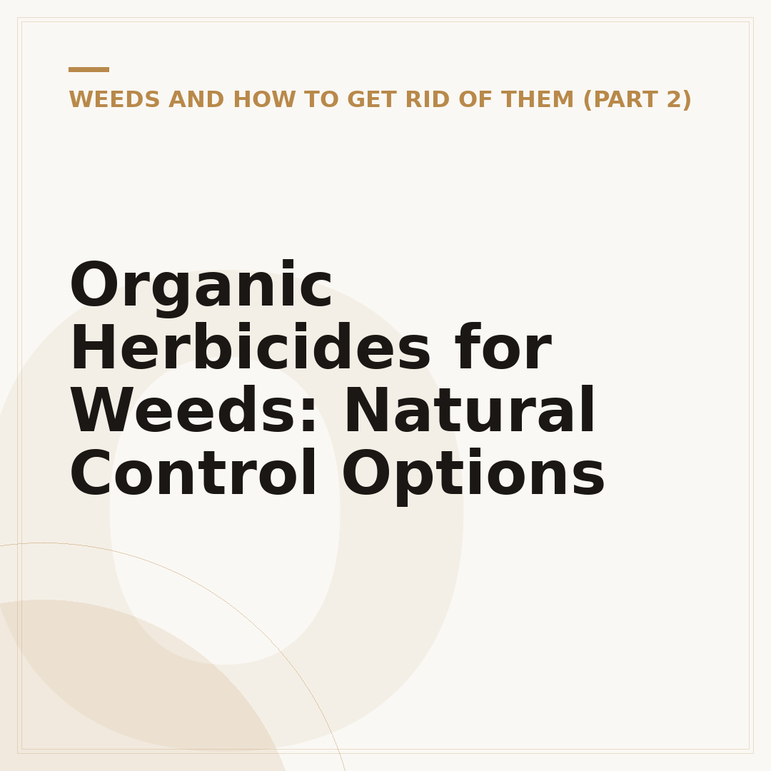 Organic Herbicides for Weeds: Natural Control Options