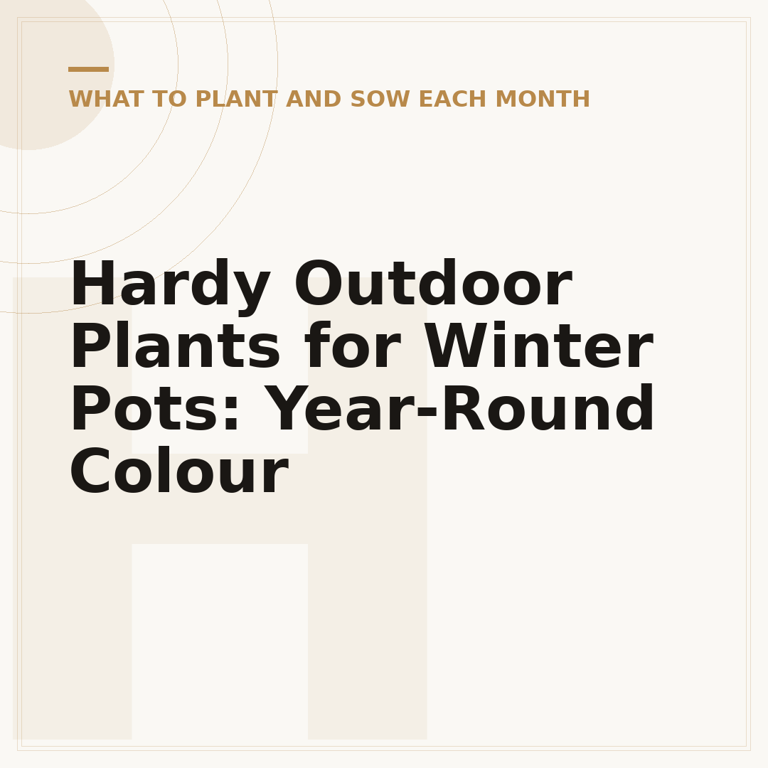Hardy Outdoor Plants for Winter Pots: Year-Round Colour