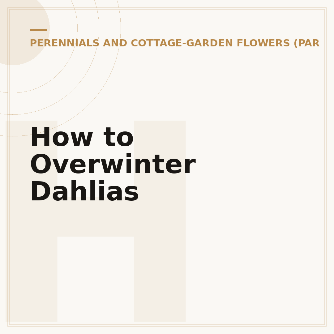 How to Overwinter Dahlias