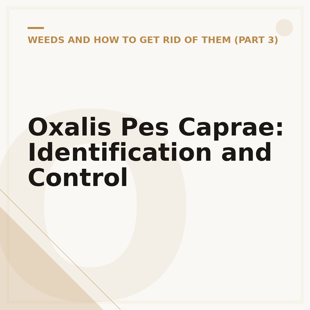 Oxalis Pes Caprae: Identification and Control