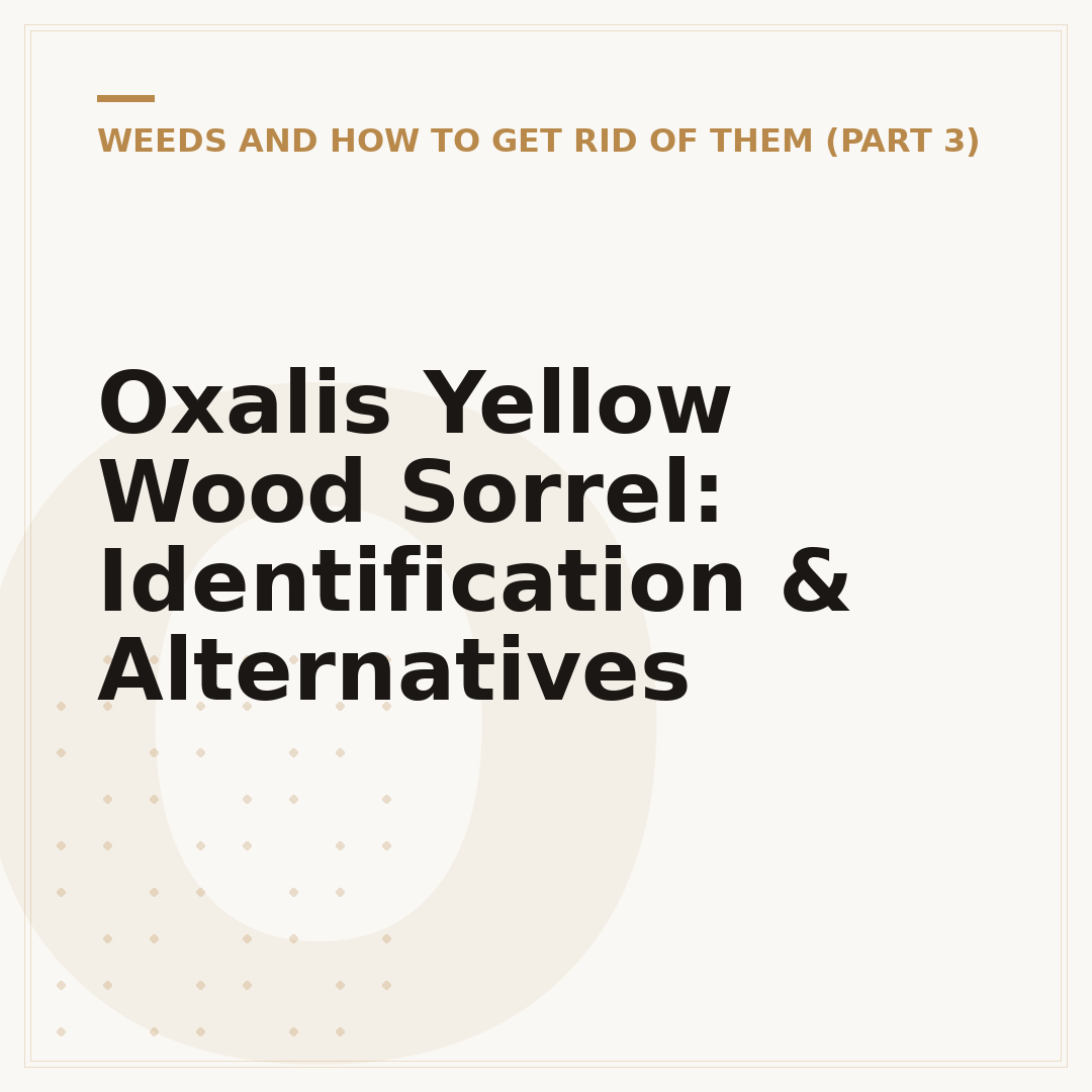 Oxalis Yellow Wood Sorrel: Identification & Alternatives