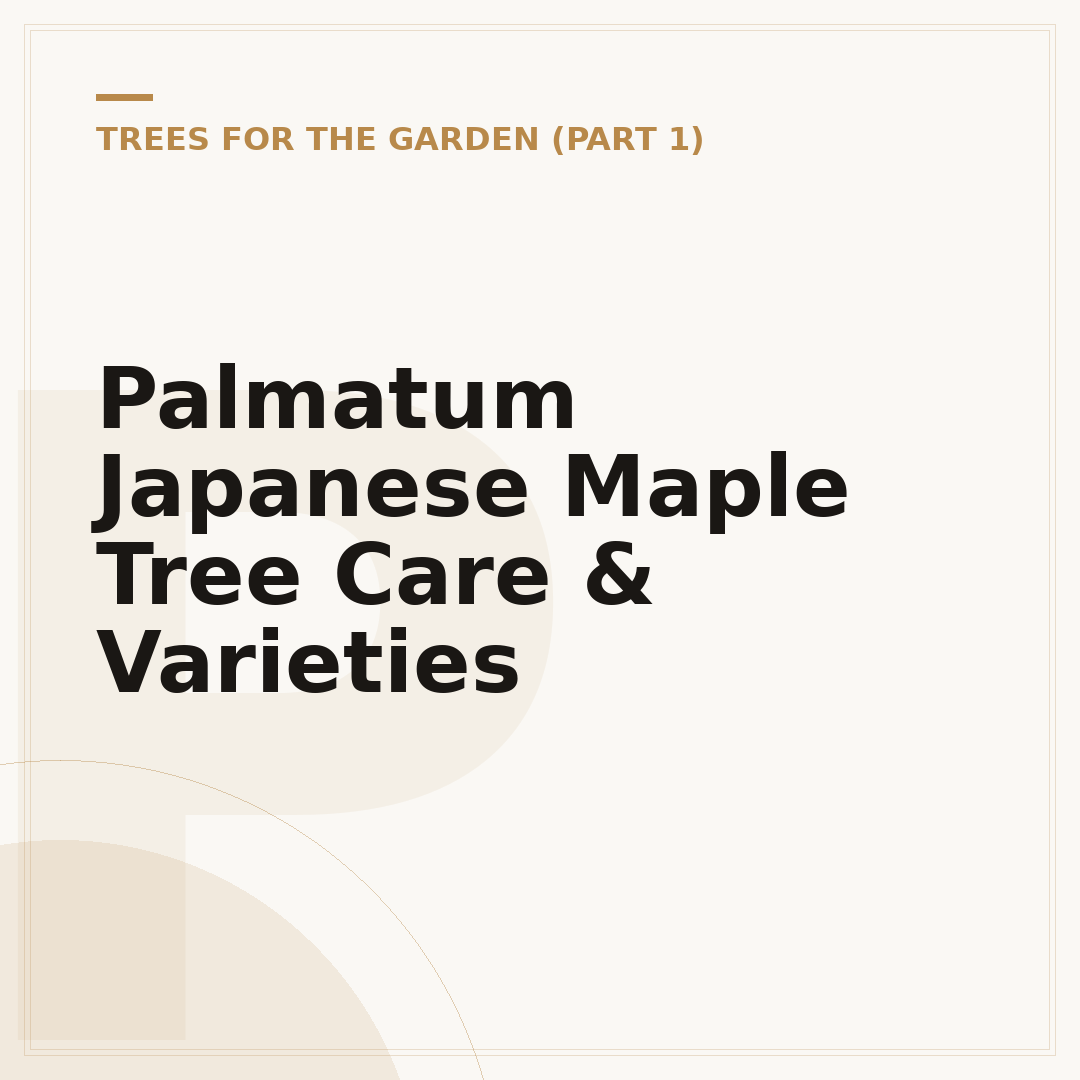 Palmatum Japanese Maple Tree Care & Varieties