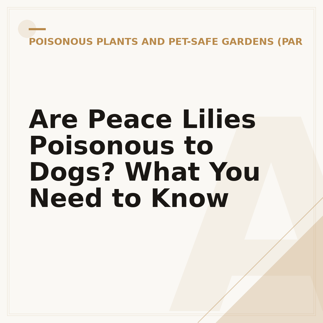 Are Peace Lilies Poisonous to Dogs? What You Need to Know