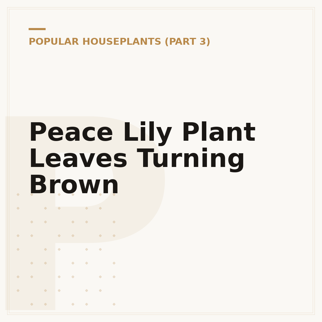Peace Lily Plant Leaves Turning Brown