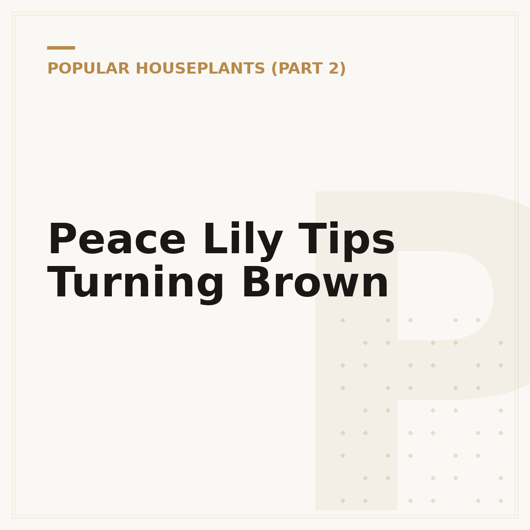 Peace Lily Tips Turning Brown