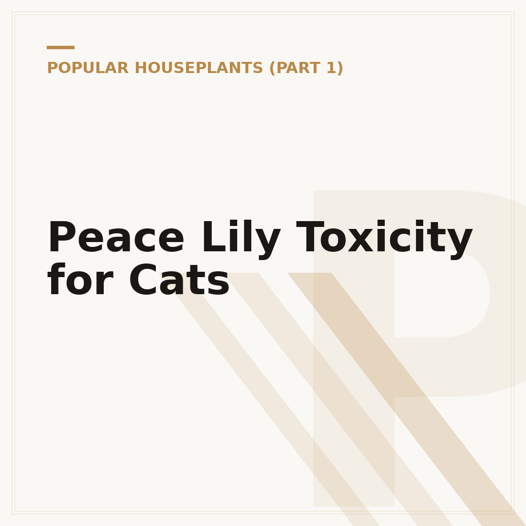 Peace Lily Toxicity for Cats