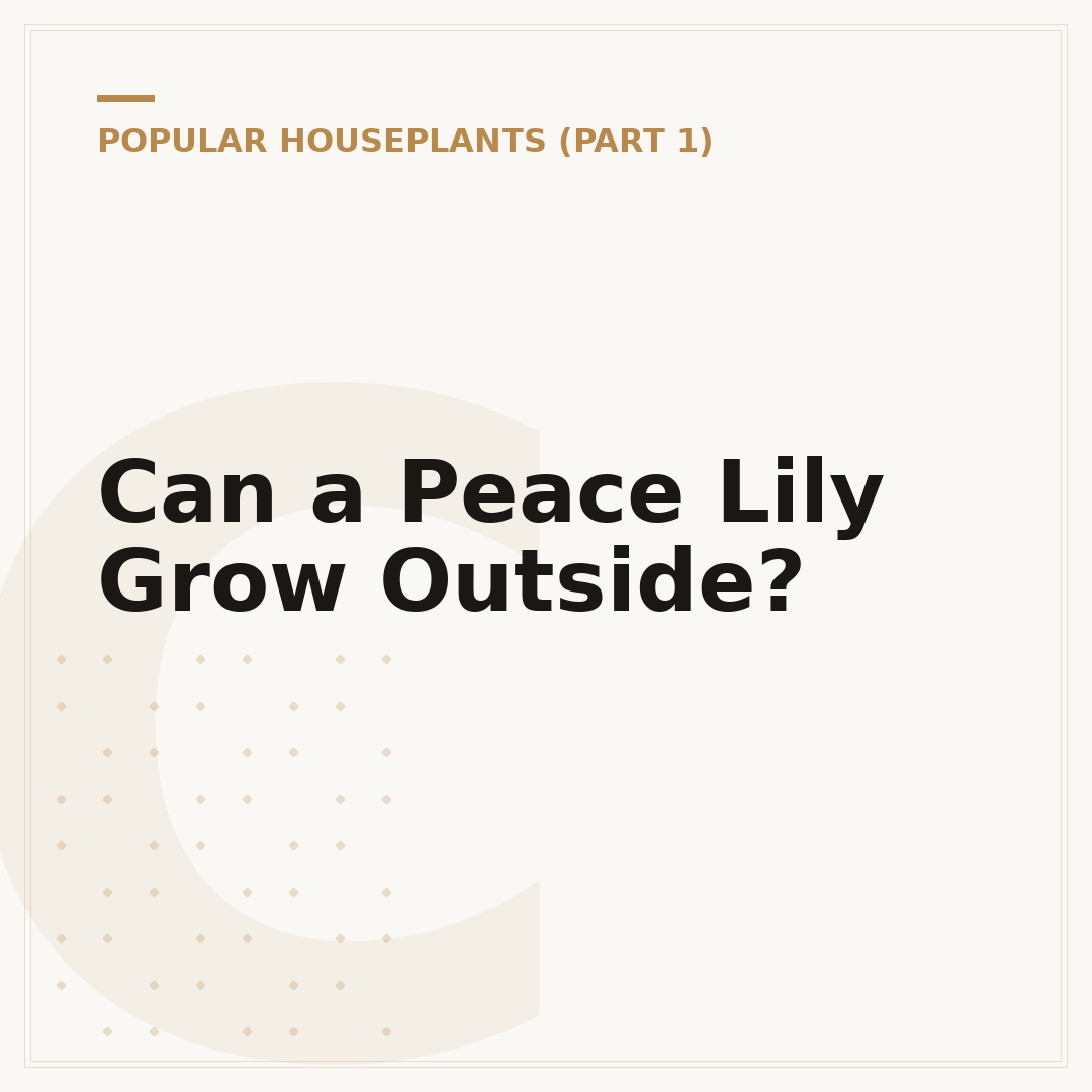 Can a Peace Lily Grow Outside?