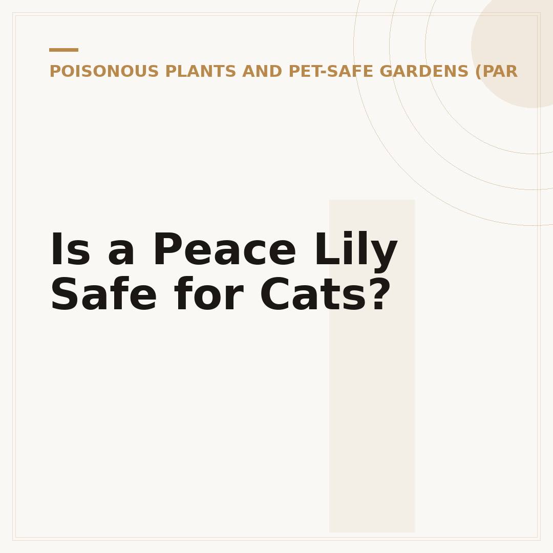 Is a Peace Lily Safe for Cats?