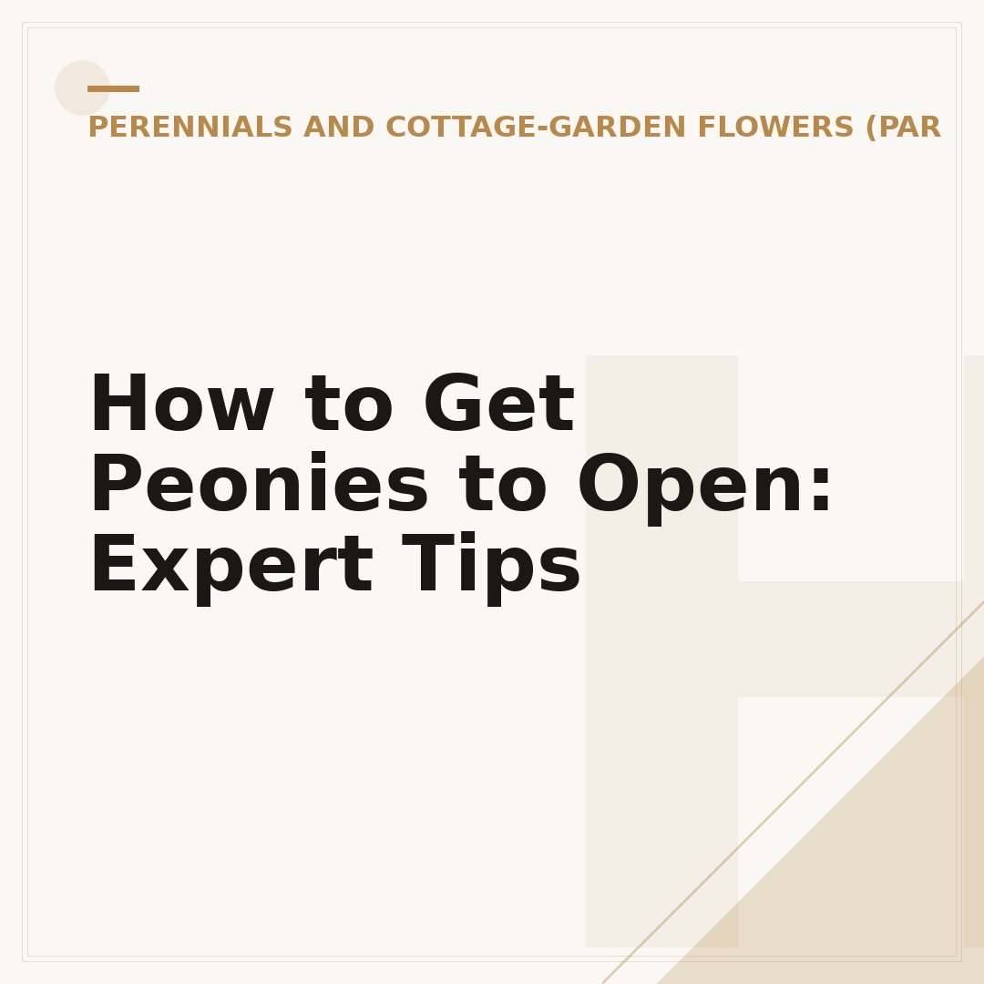 How to Get Peonies to Open: Expert Tips