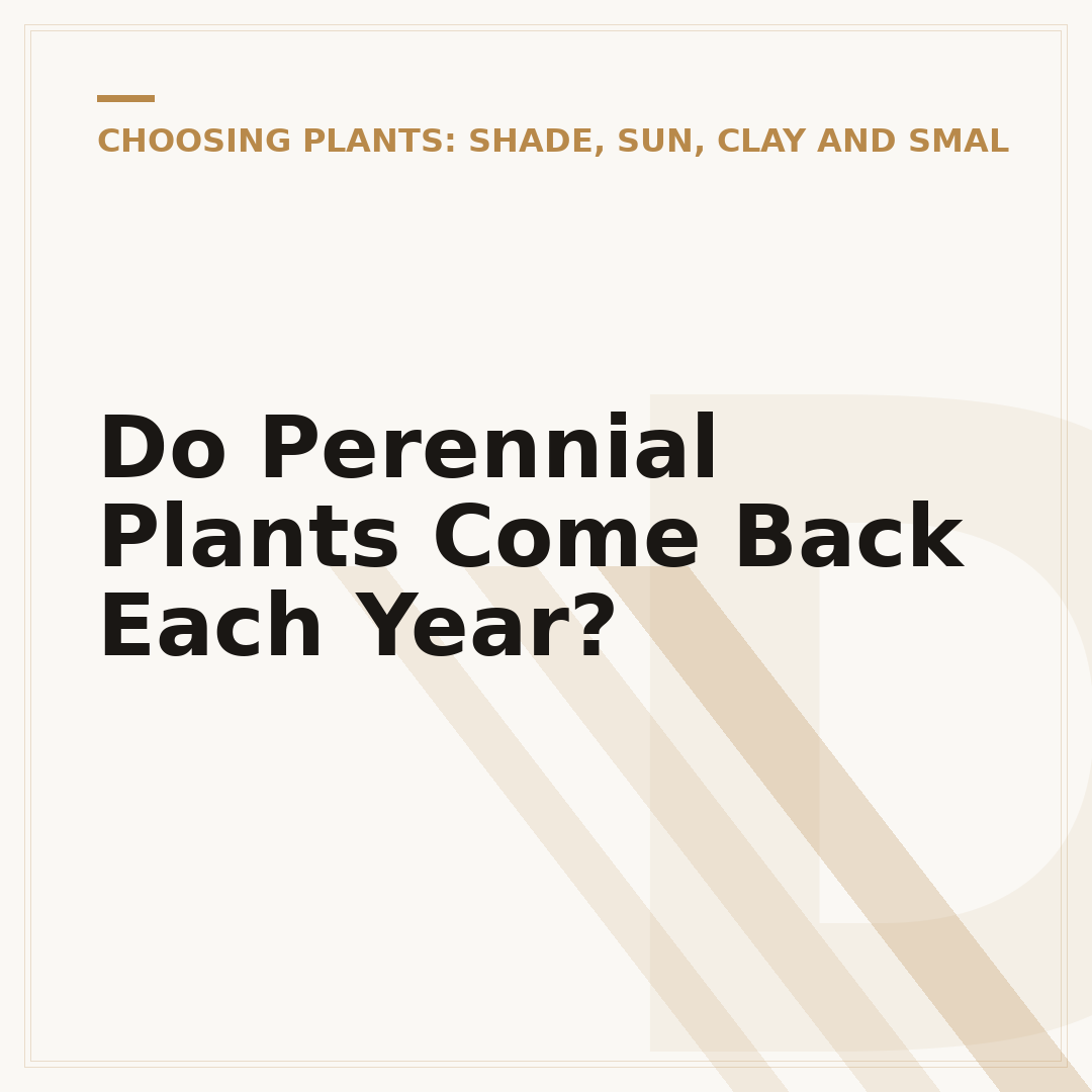 Do Perennial Plants Come Back Each Year?
