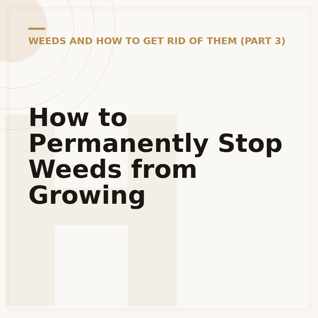 How to Permanently Stop Weeds from Growing