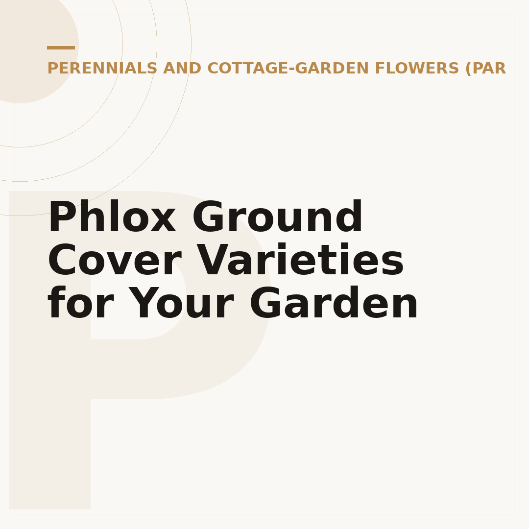 Phlox Ground Cover Varieties for Your Garden