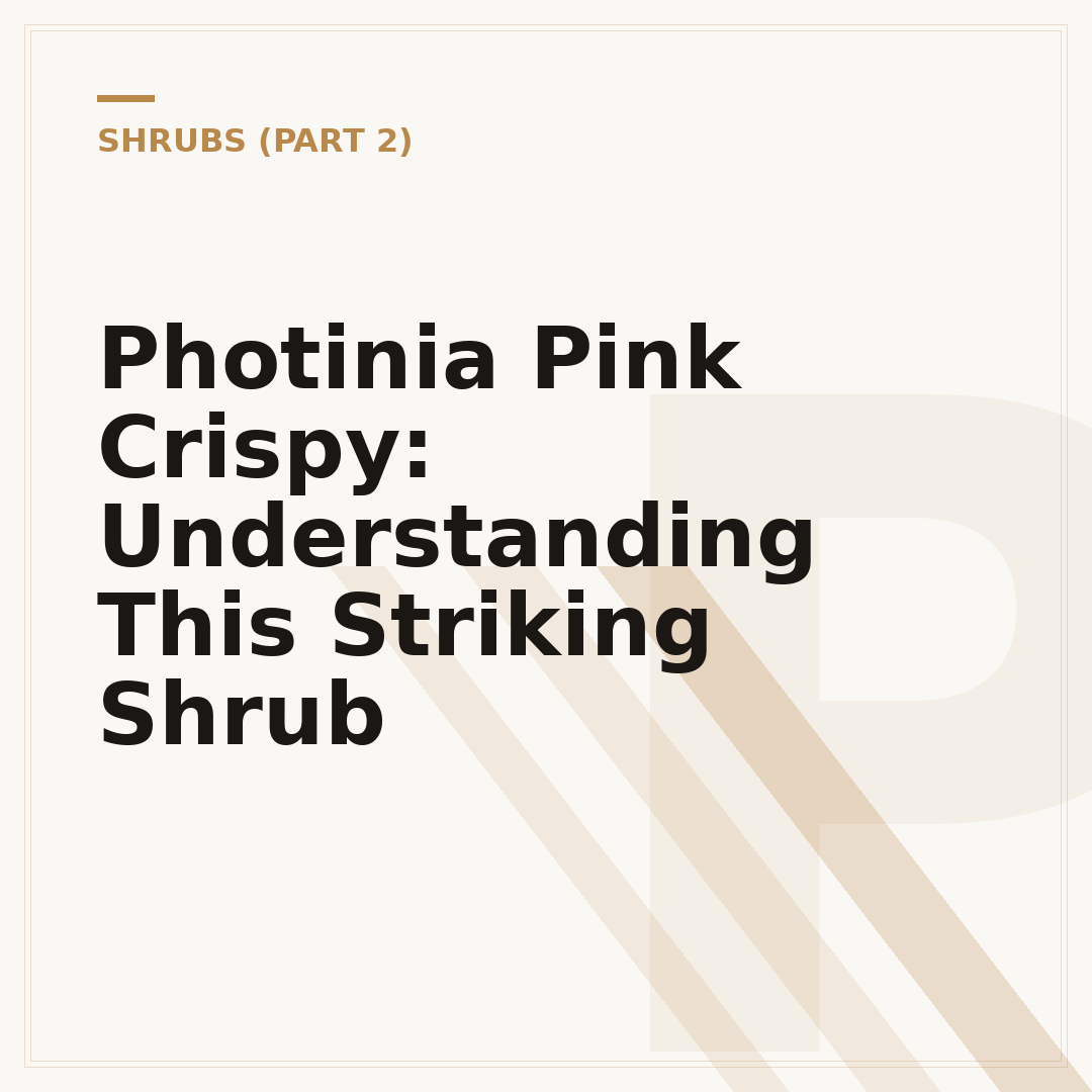 Photinia Pink Crispy: Understanding This Striking Shrub