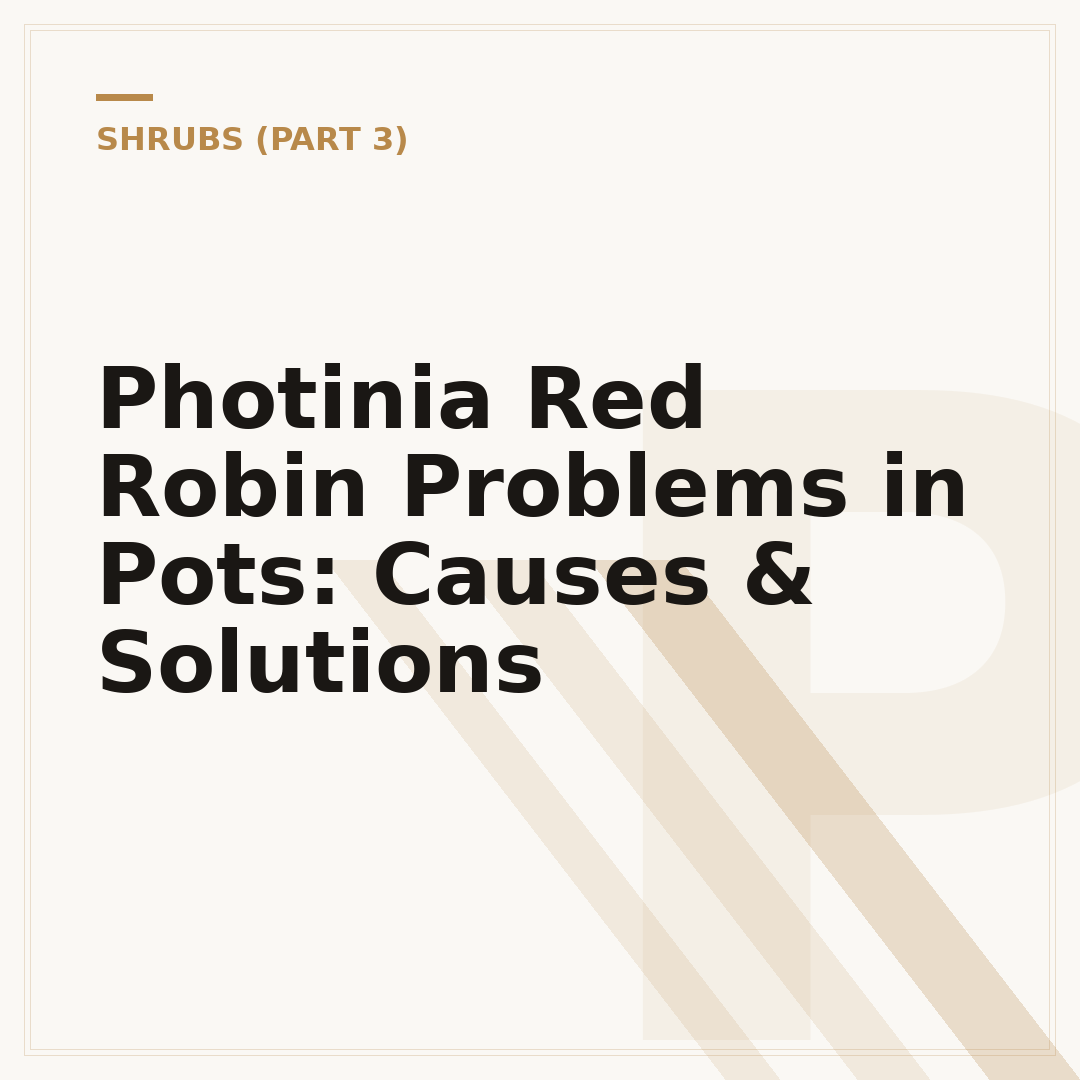 Photinia Red Robin Problems in Pots: Causes & Solutions