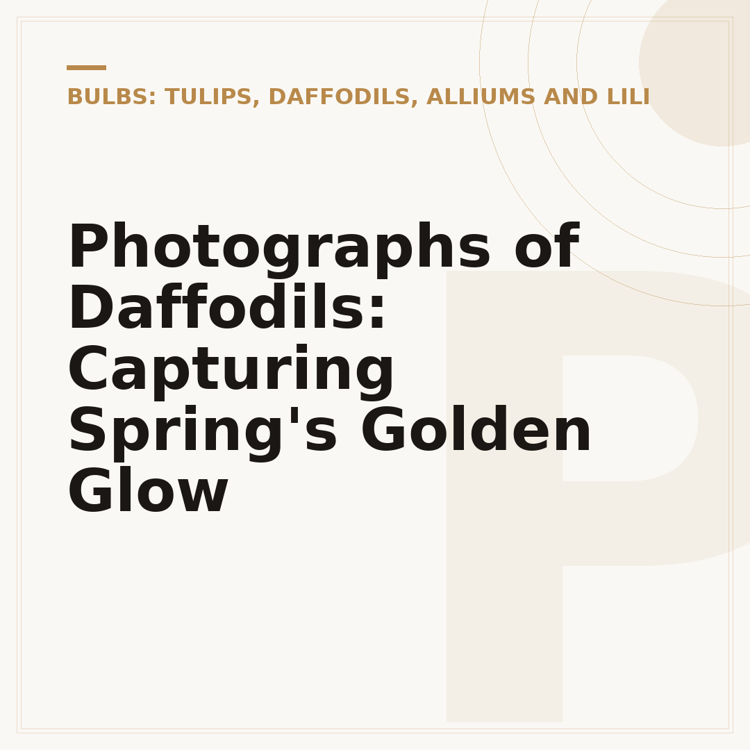 Photographs of Daffodils: Capturing Spring's Golden Glow