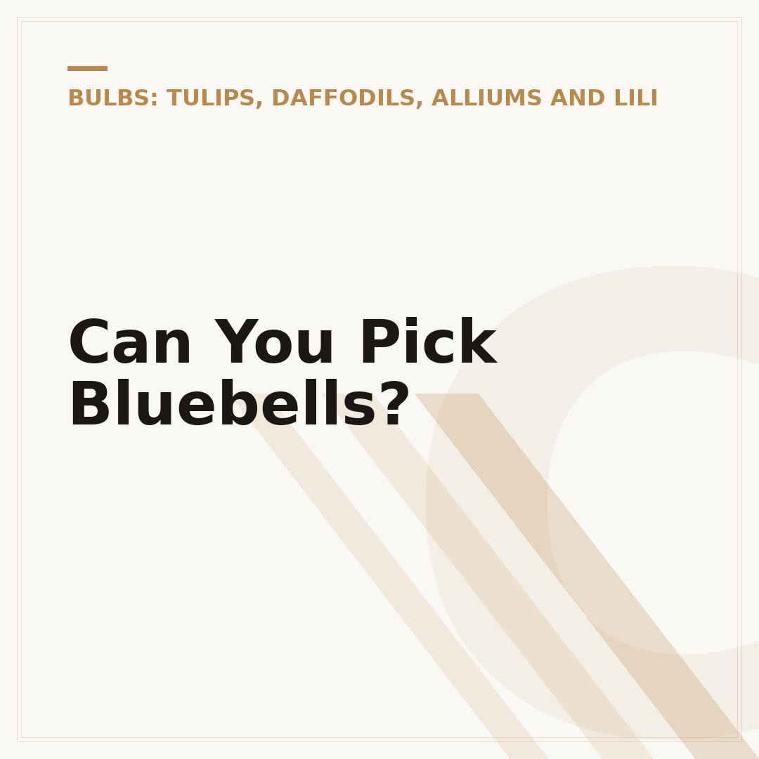 Can You Pick Bluebells?