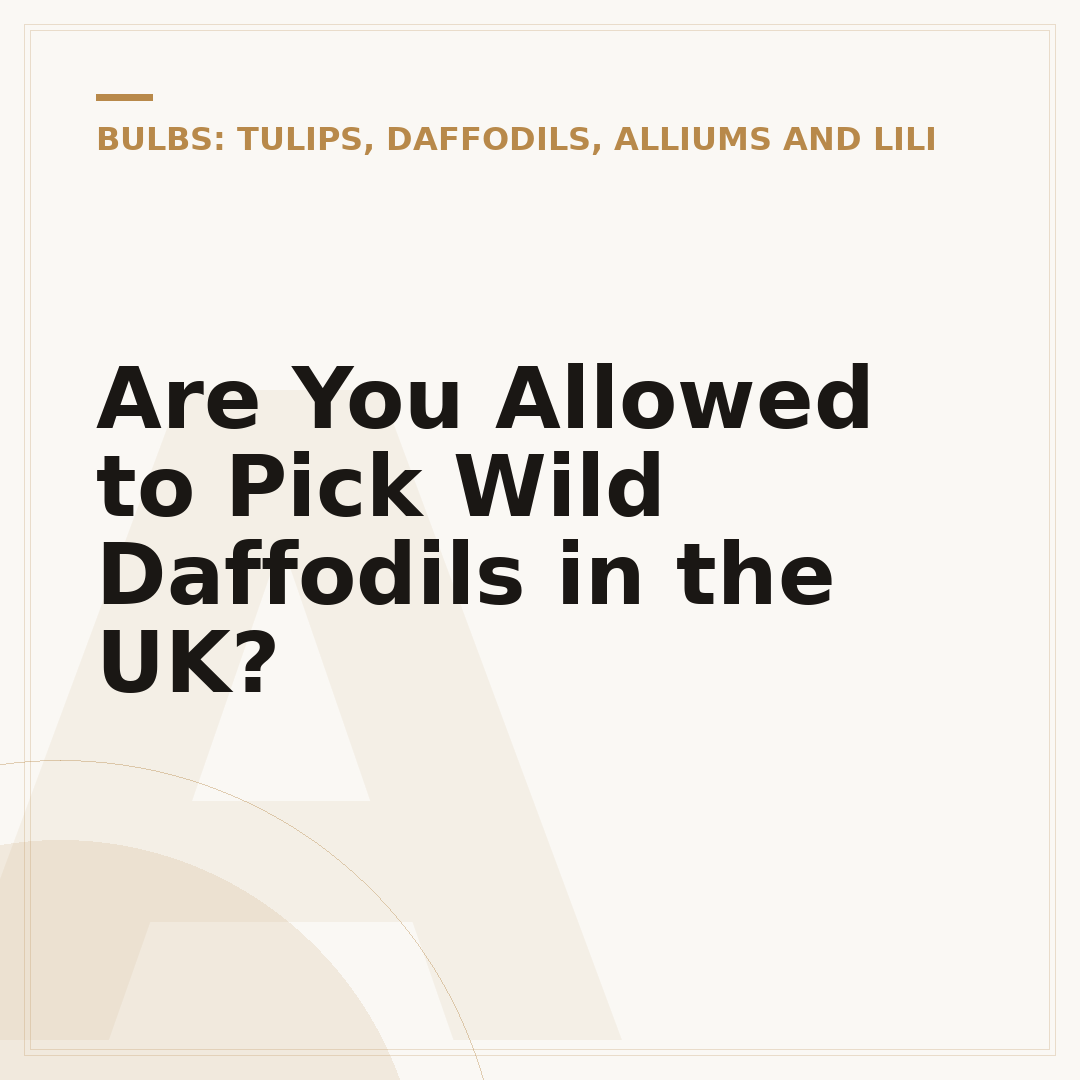 Are You Allowed to Pick Wild Daffodils in the UK?