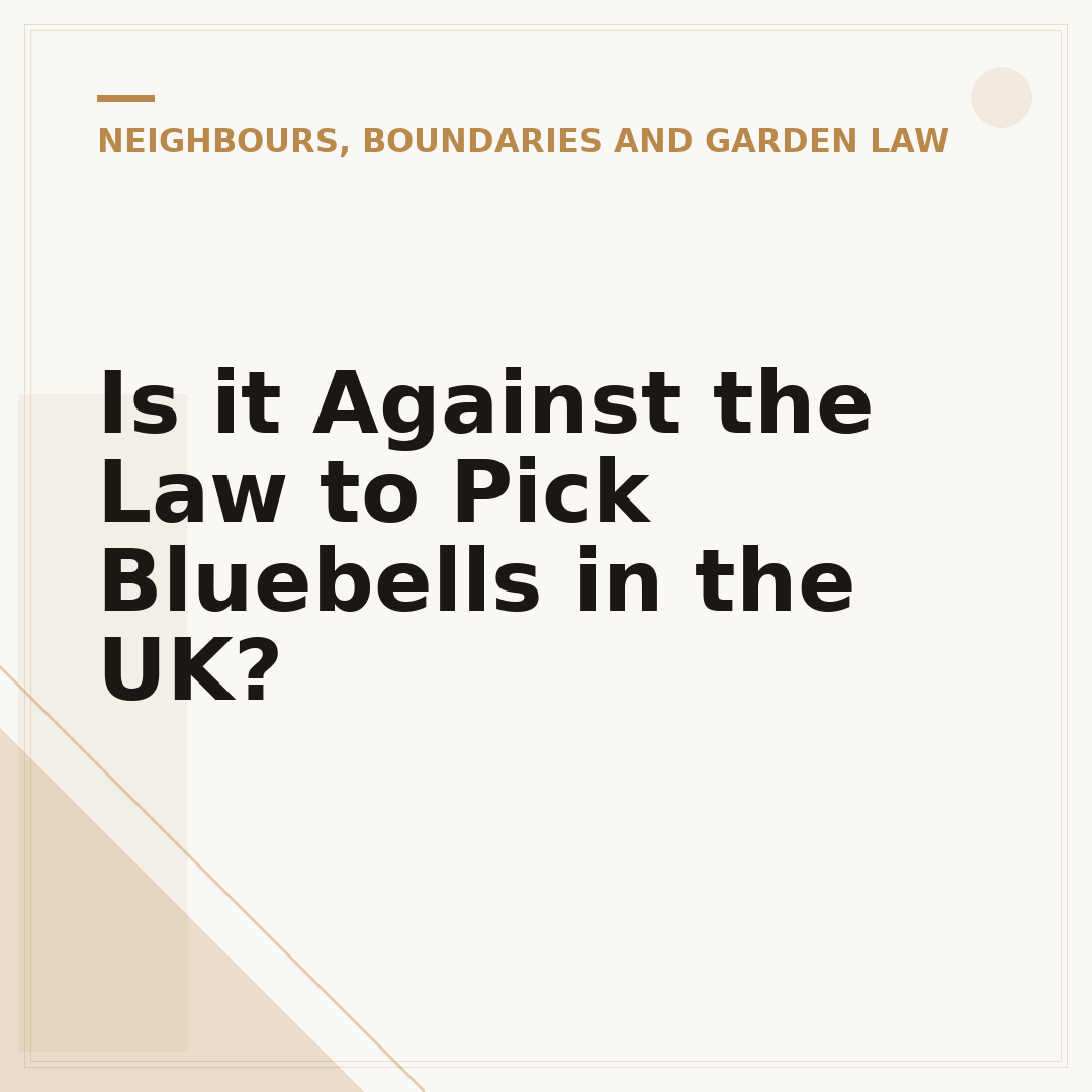Is it Against the Law to Pick Bluebells in the UK?