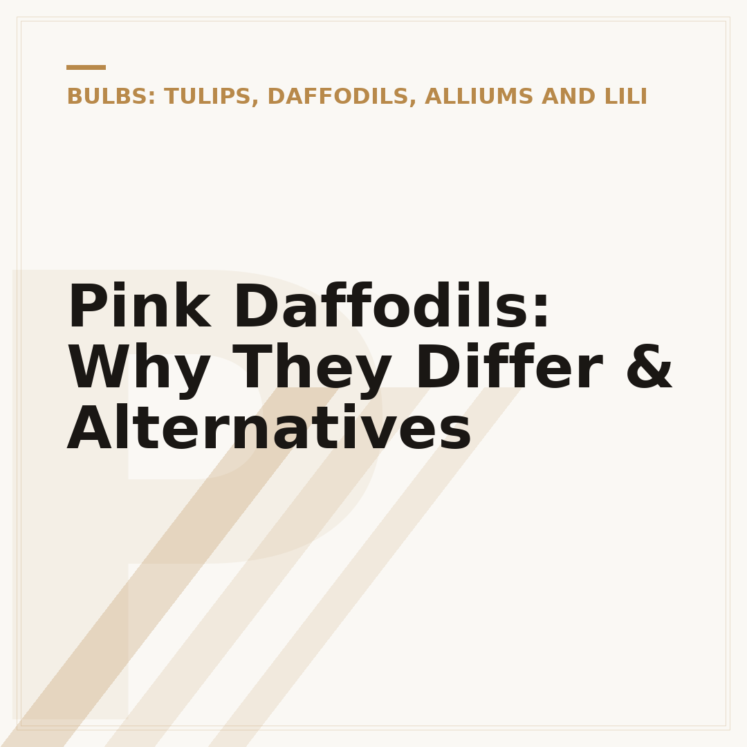 Pink Daffodils: Why They Differ & Alternatives