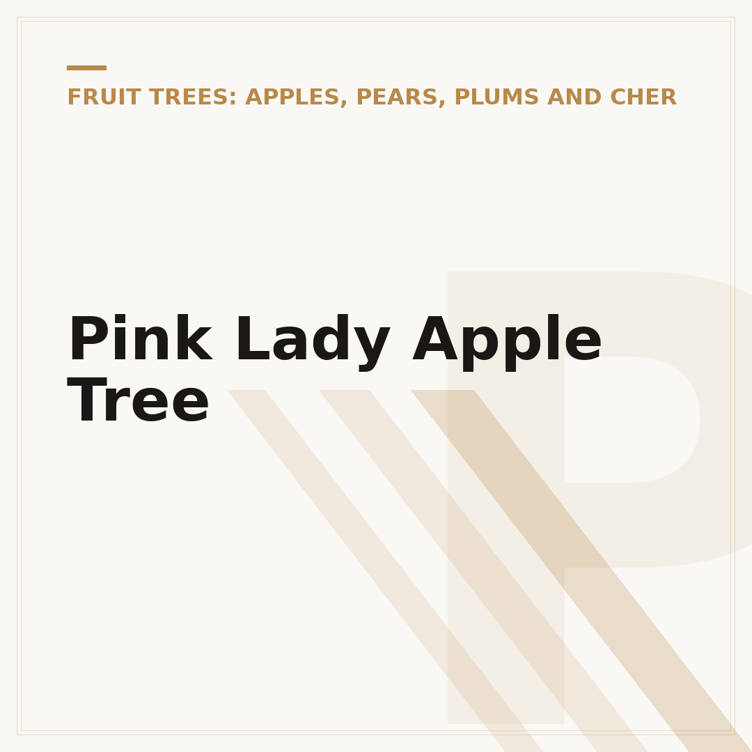 Pink Lady Apple Tree