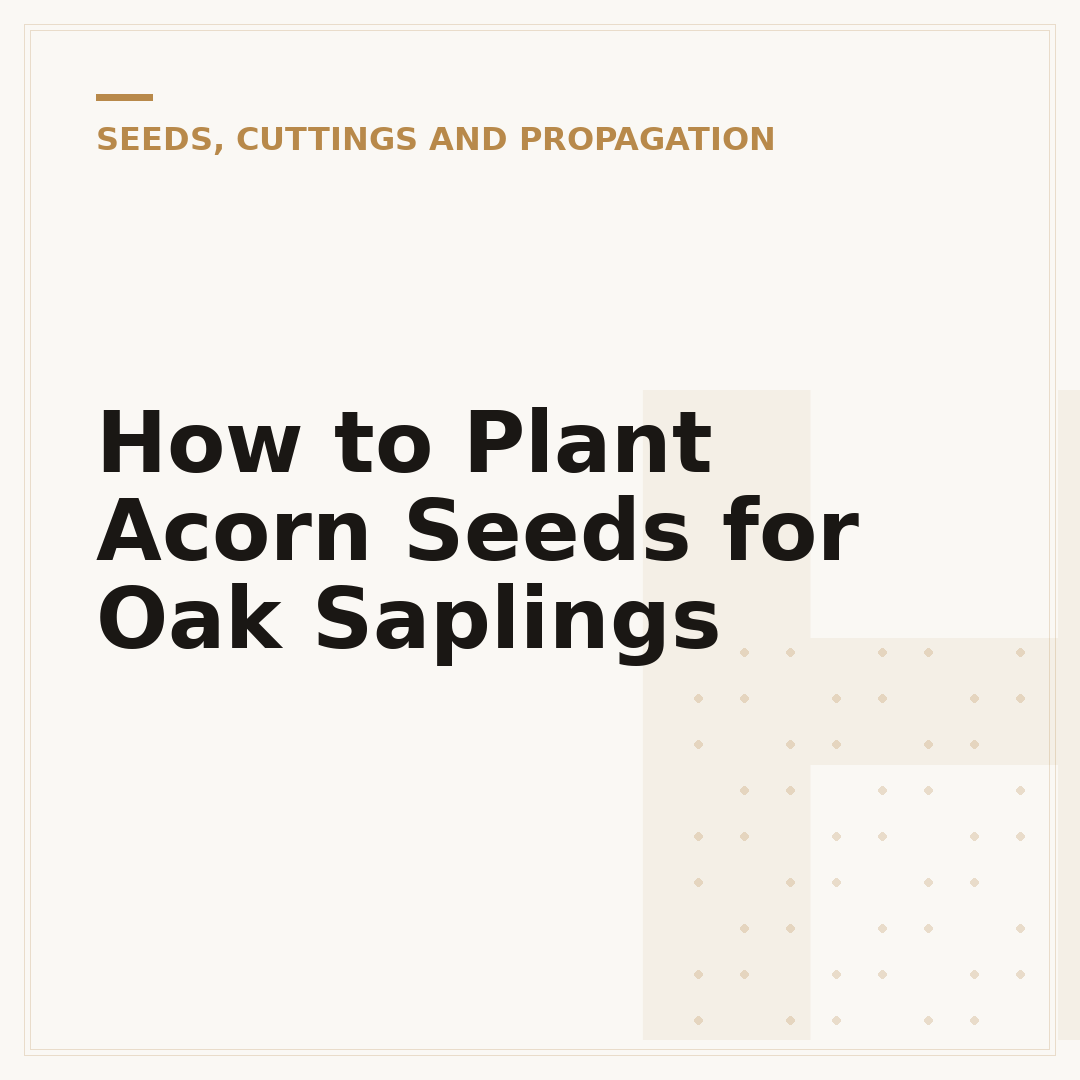 How to Plant Acorn Seeds for Oak Saplings