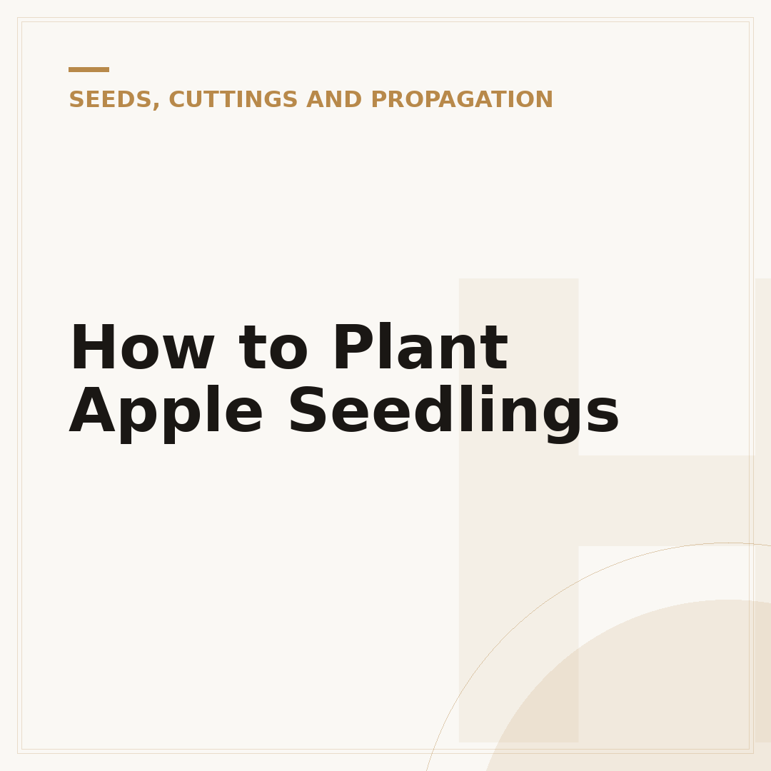 How to Plant Apple Seedlings