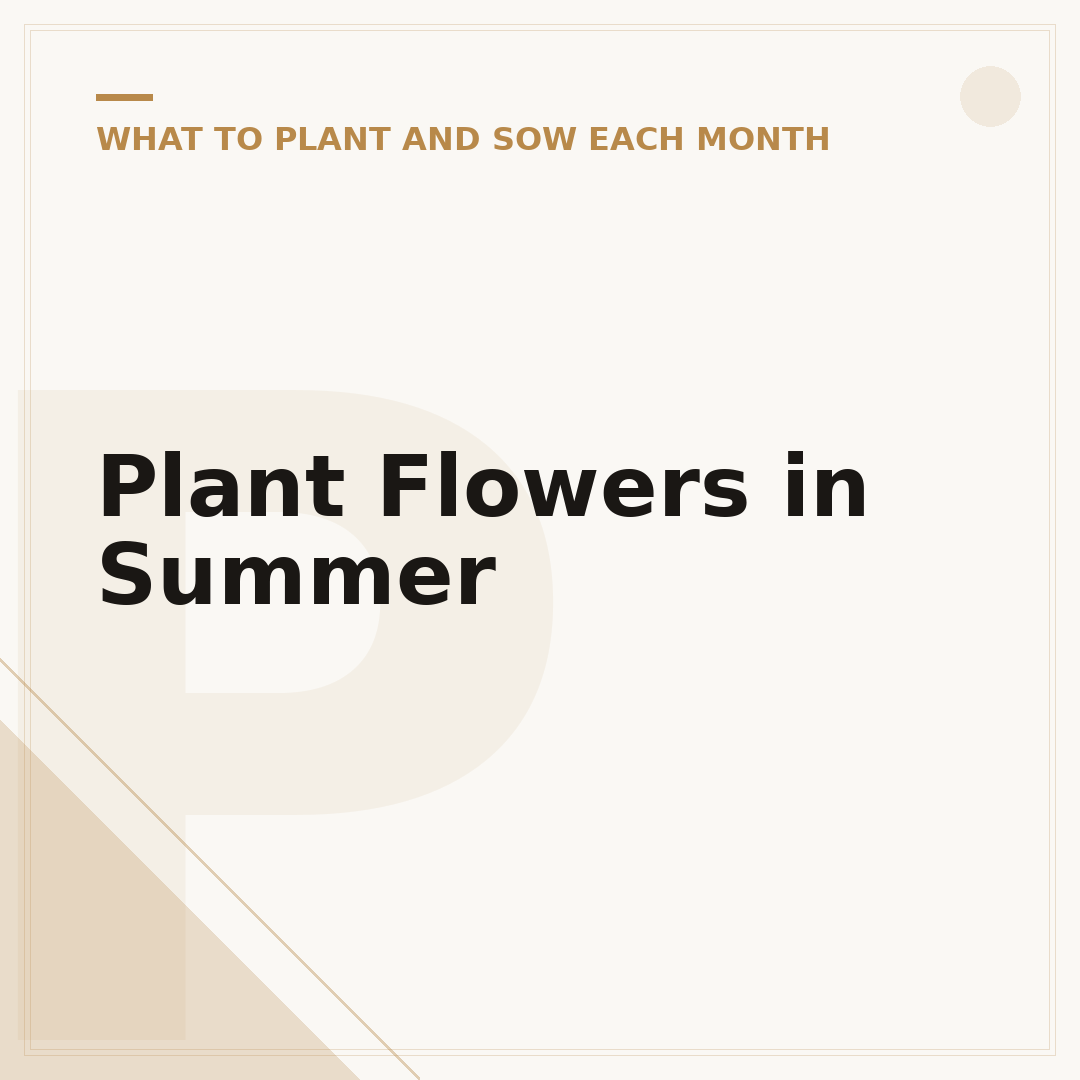 Plant Flowers in Summer