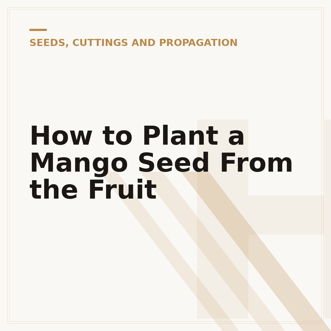 How to Plant a Mango Seed From the Fruit