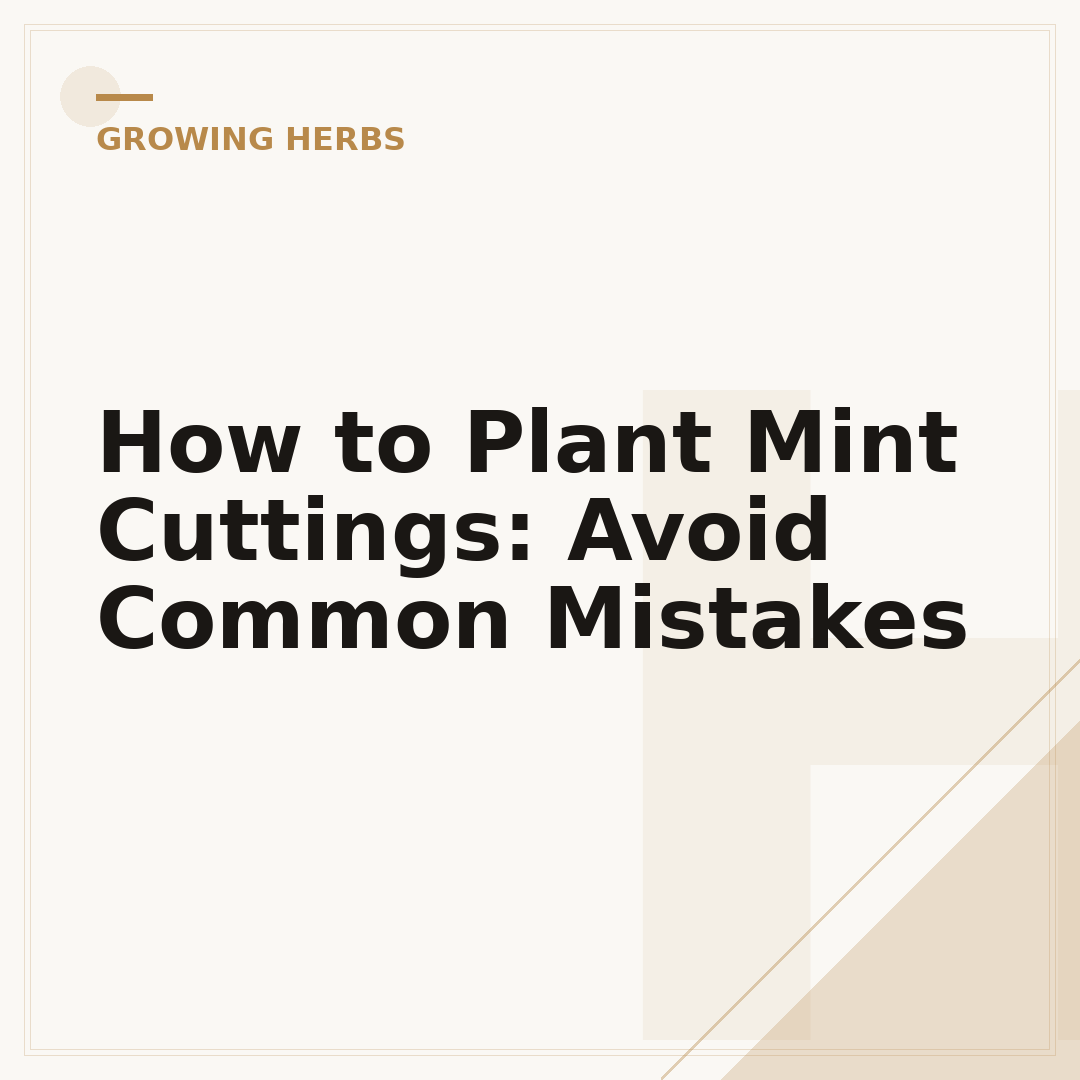 How to Plant Mint Cuttings: Avoid Common Mistakes