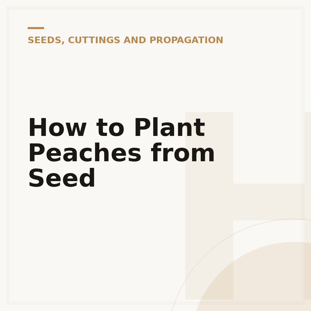 How to Plant Peaches from Seed