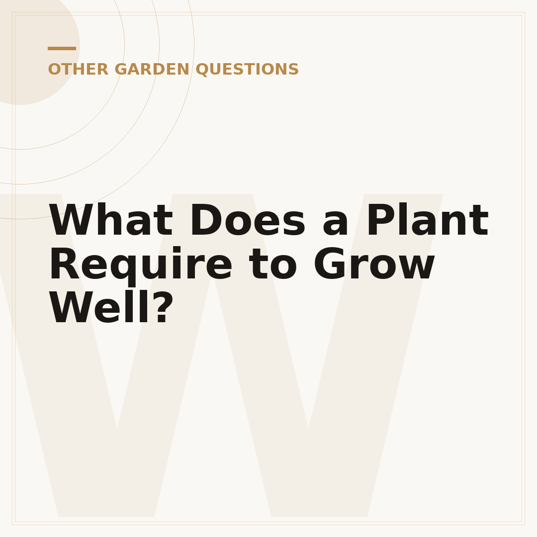 What Does a Plant Require to Grow Well?