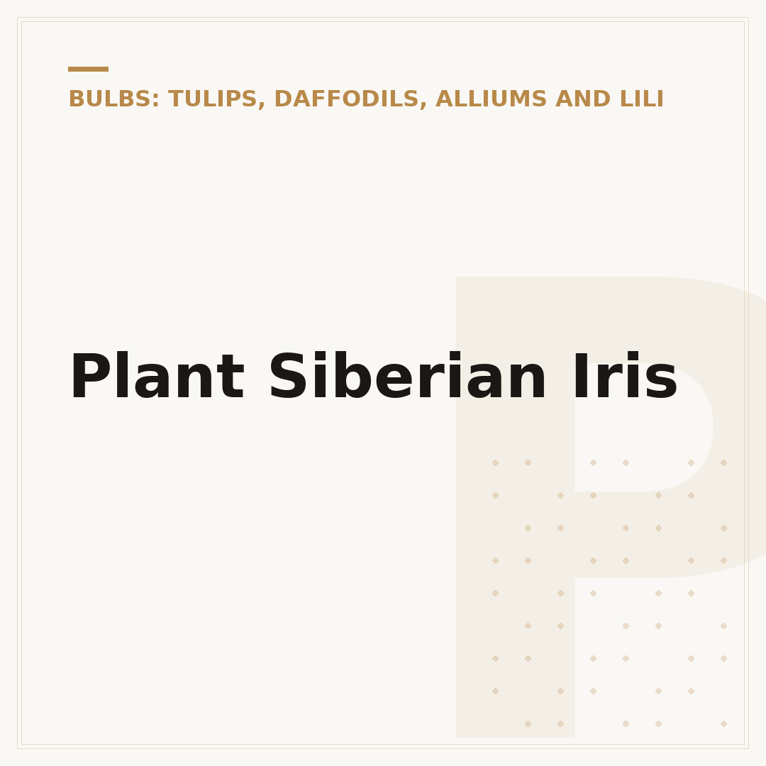 Plant Siberian Iris
