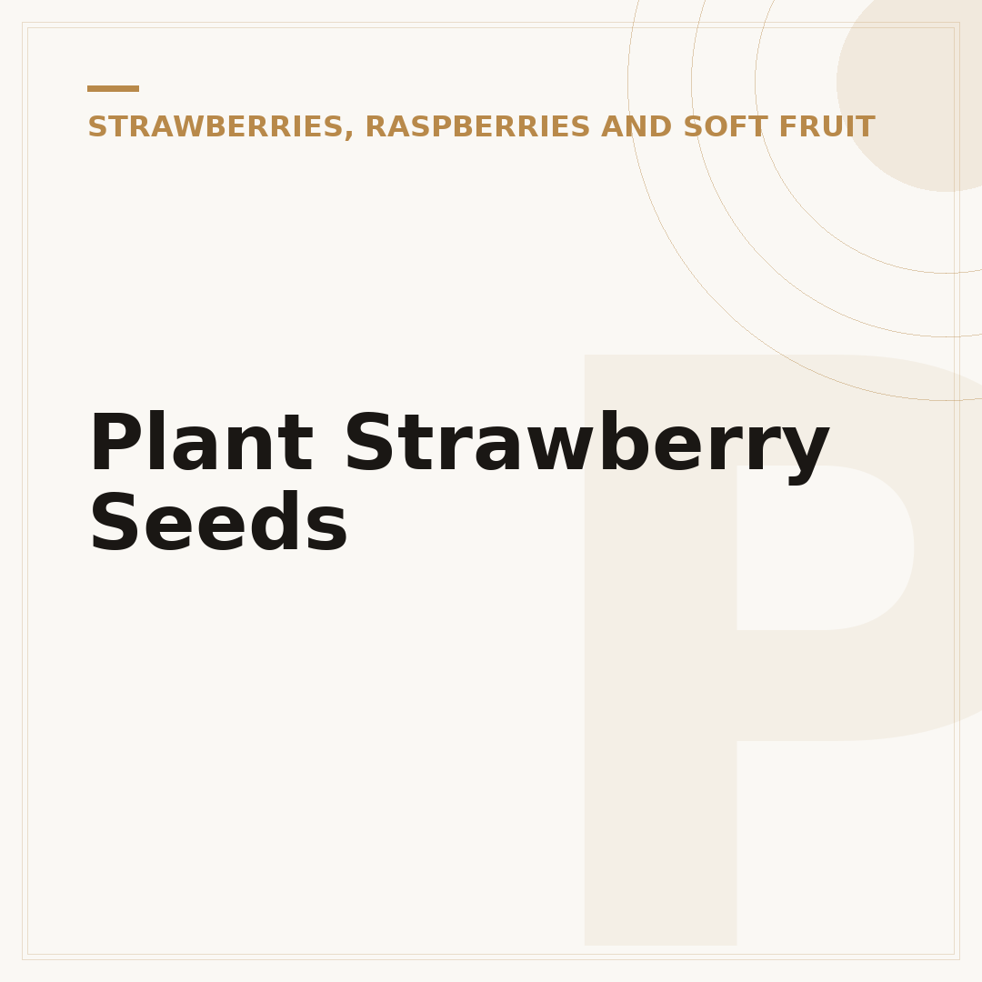 Plant Strawberry Seeds
