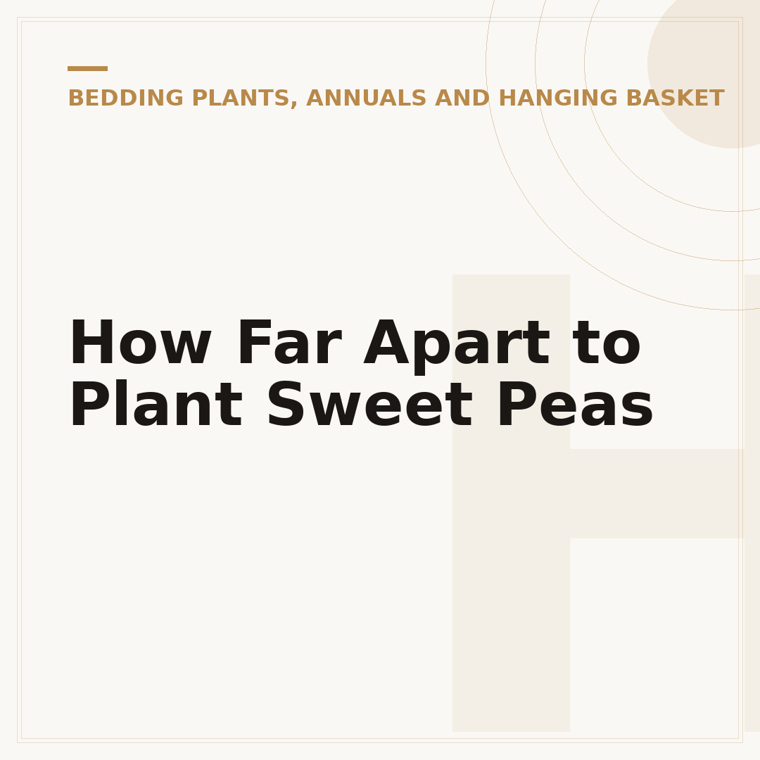 How Far Apart to Plant Sweet Peas