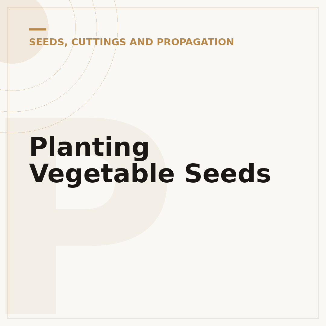 Planting Vegetable Seeds