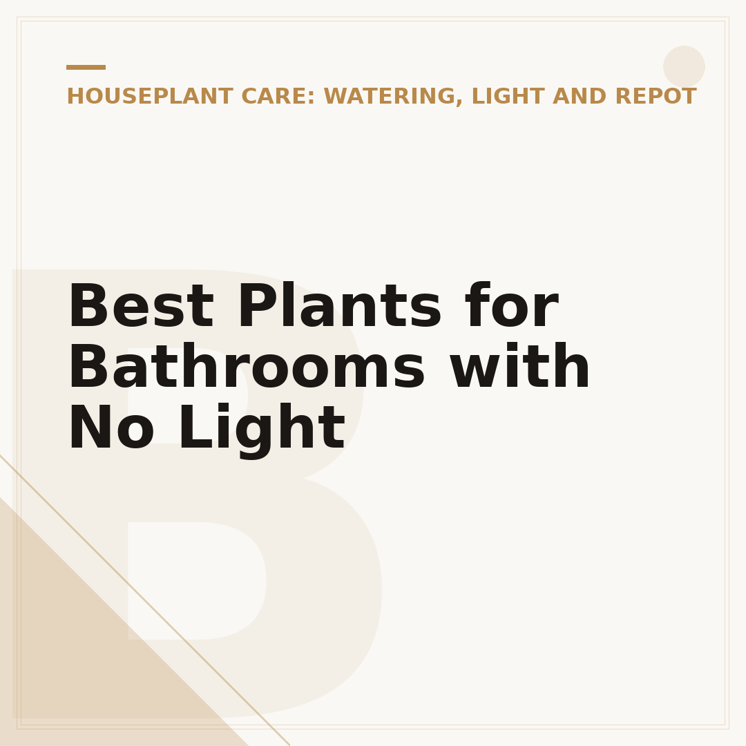 Best Plants for Bathrooms with No Light
